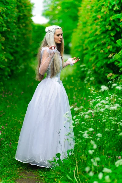 Reina blanca — Foto de Stock