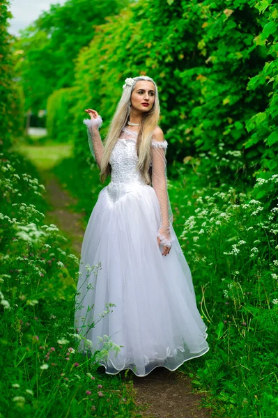 Біла королева — стокове фото