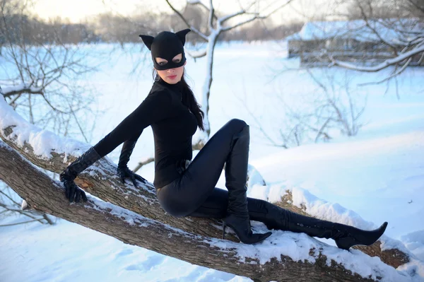 Catwoman — Foto Stock