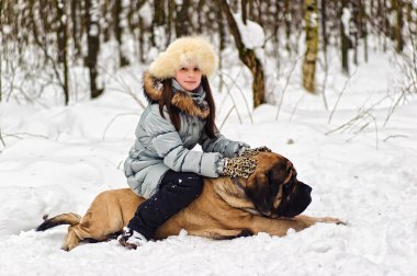 Girl with her english mastiff dog. clipart