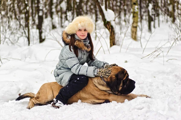 Girl Her English Mastiff Dog — Stock Photo, Image