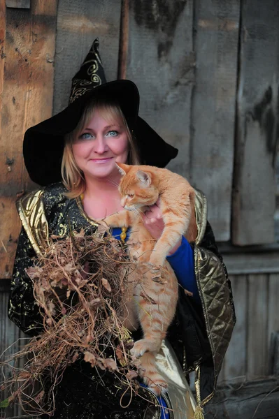 Kırmızı kedi ile cadı — Stok fotoğraf