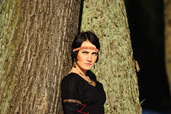 Menina em um vestido medieval — Fotografia de Stock