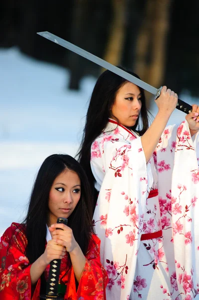 Belle ragazze bruna in un kimono giapponese — Foto Stock