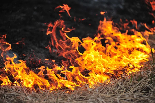 Спалювання трави — стокове фото