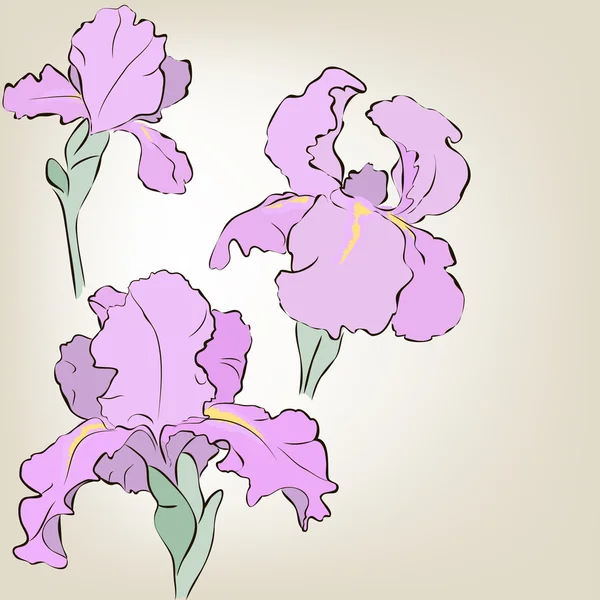 Iris Stock Vectors, Royalty Free Iris Illustrations | Depositphotos®