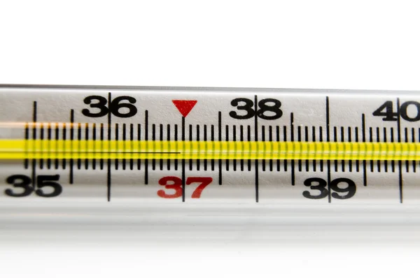 stock image Termometer