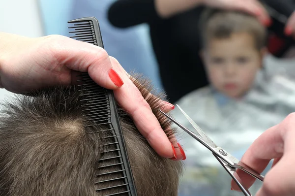 stock image Haircut