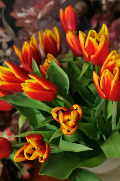 Красивый букет красных тюльпанов крупным планом — стоковое фото