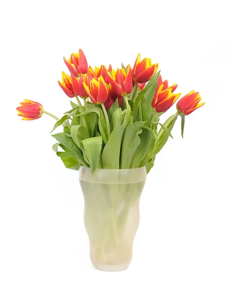 Bonito buquê tulipas vermelhas em vaso no fundo branco Fotografia De Stock