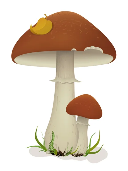 Cogumelos com folha e grama —  Vetores de Stock