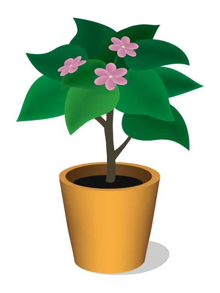 Растение в горшке с розовыми цветами — стоковый вектор