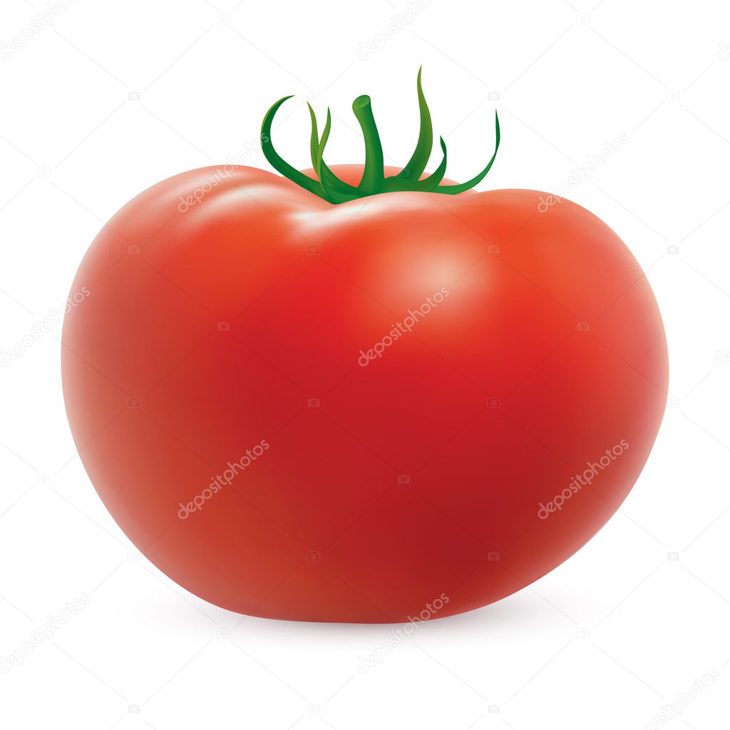 Big ripe tomato