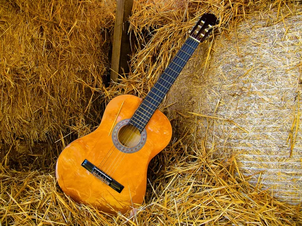 stock image Classical guitar