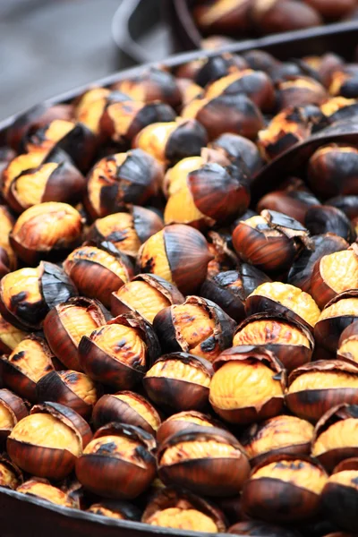 stock image Chestnuts