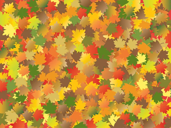 Hojas de arce de otoño — Vector de stock