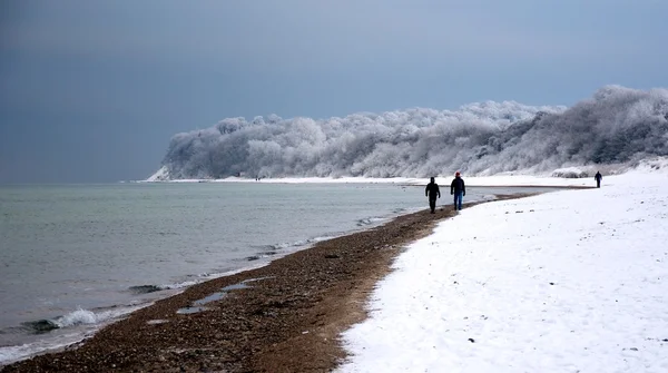 stock image Winter at the coast