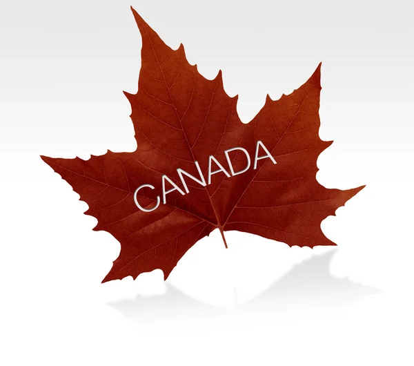 Канада Кленовий лист — стокове фото