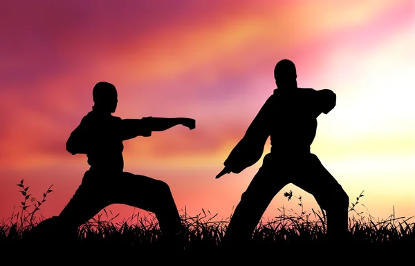 Mixed Martial Artists — Stock Photo, Image