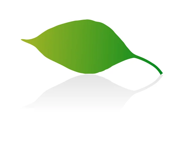 緑のベクトルの葉 — ストックベクタ