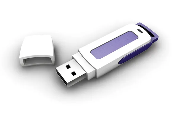 USB tükenmezkalem götürmek — Stok fotoğraf