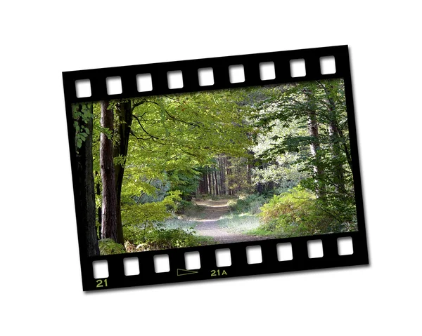 stock image Countryside filmstrip