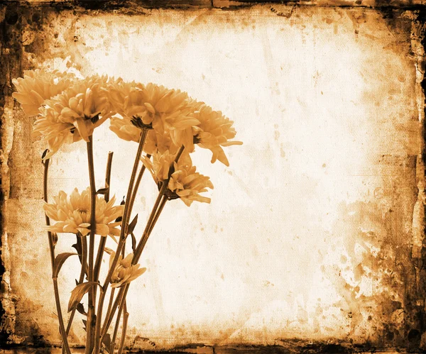 Grunge floral — Fotografia de Stock
