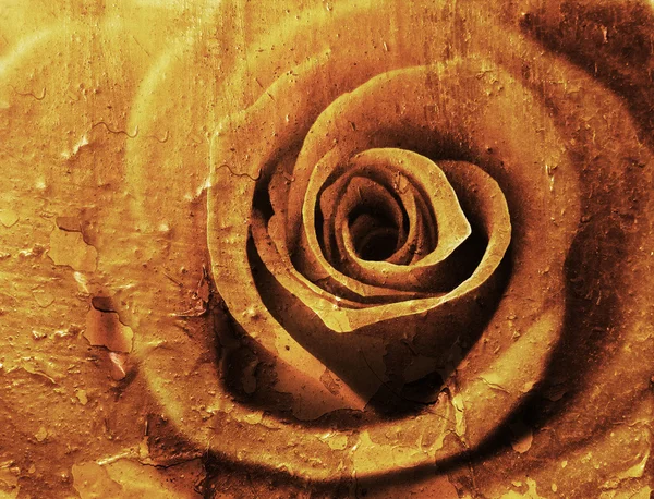 Grunge rose — Stock Photo, Image