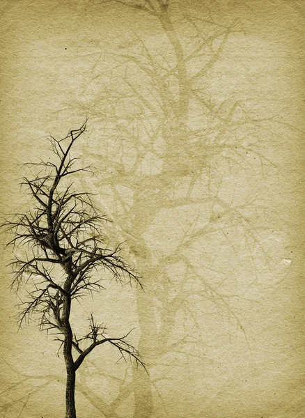 Grunge 树 — 图库照片