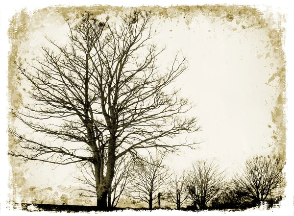 Grunge δέντρα — Φωτογραφία Αρχείου