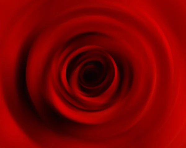 Rose blur — Stock Photo, Image