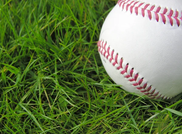 Beisebol de alto contraste na grama longa — Fotografia de Stock