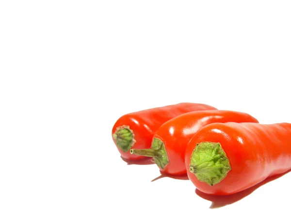 Πιπεριές τσίλι — Φωτογραφία Αρχείου