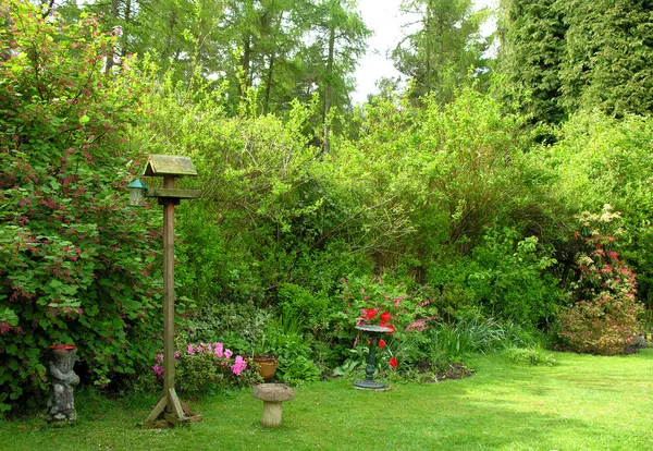 Birdhouse in tuin — Stockfoto