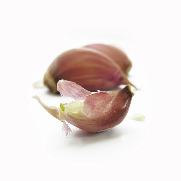 stock image Garlic clove