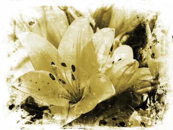 Hintergrund von lillies on grunge — Stockfoto