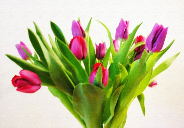 Tulpen auf Leinwand — Stockfoto