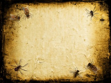 Grunge insects clipart