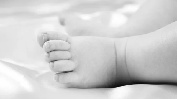 Babies foot — Stock Photo, Image