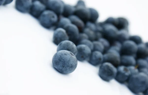 Stock image Blueberries