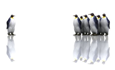 Penguins clipart