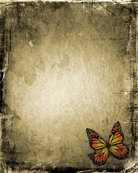 Farfalla del grunge — Foto Stock