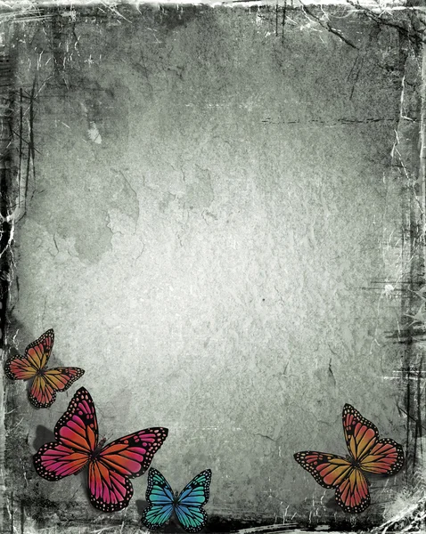 Motyl nieczysty — Zdjęcie stockowe
