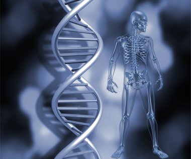 Skeleton with DNA strands clipart