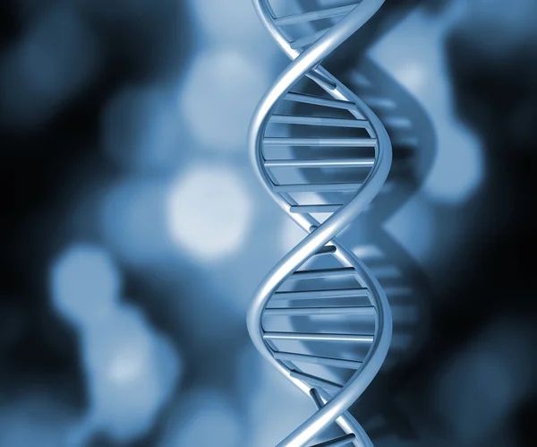 DNS-szálak — Stock Fotó