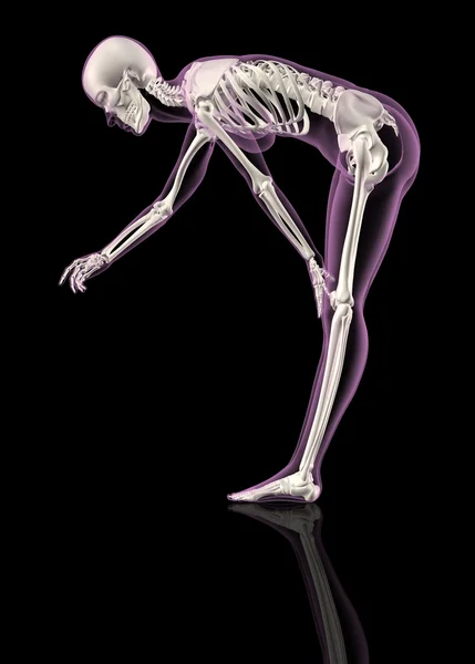 Esqueleto feminino se curvando — Fotografia de Stock