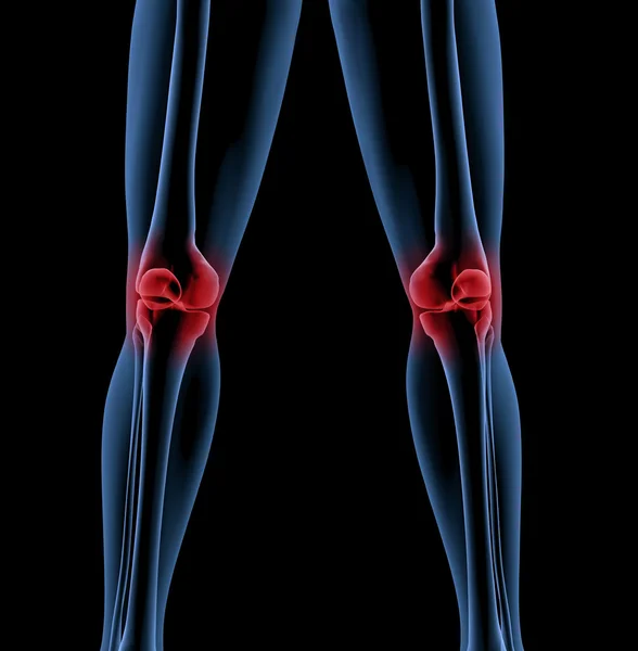 Ноги медицинского скелета — стоковое фото