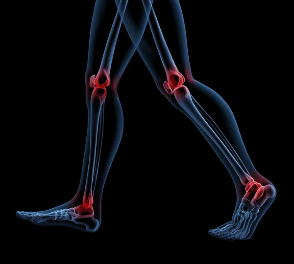 Skeleton of legs walking — Stock Photo, Image