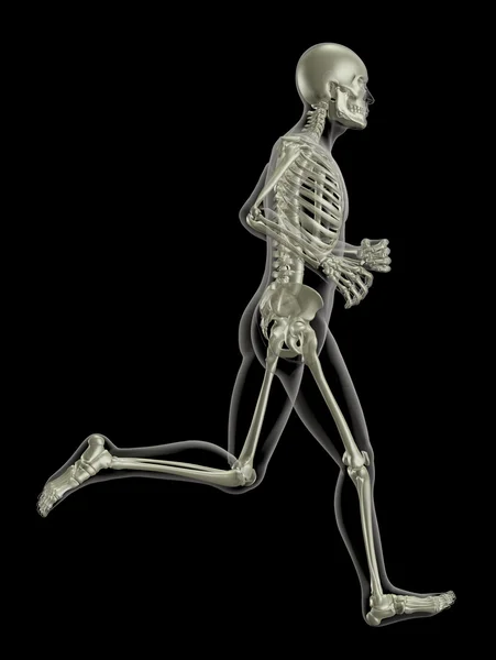 Correre scheletro medico — Foto Stock