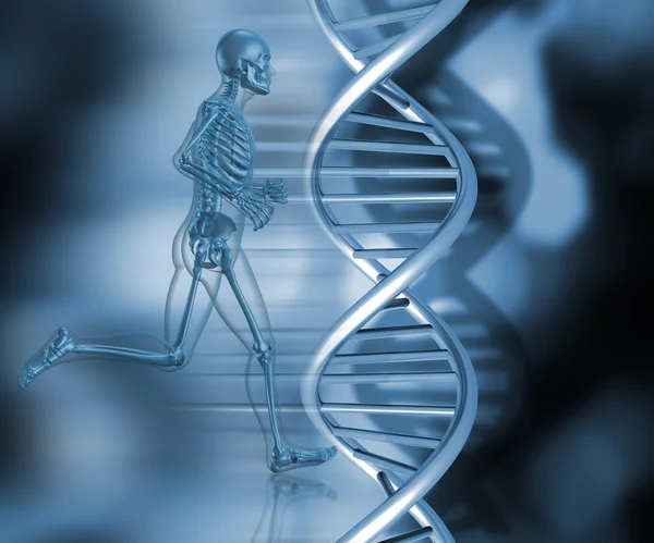 DNA strands — Stock Photo, Image